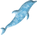 イルカのイラスト