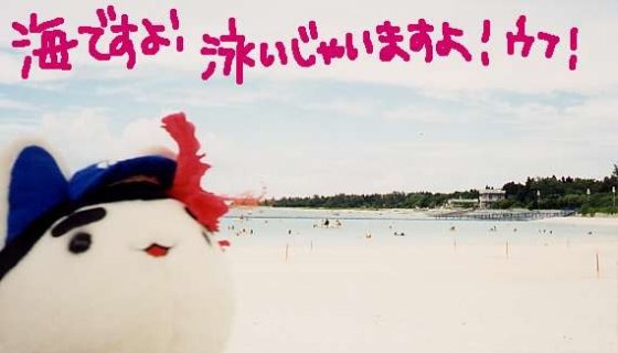 ϤƤΥ饰