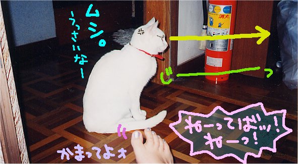 ͤ