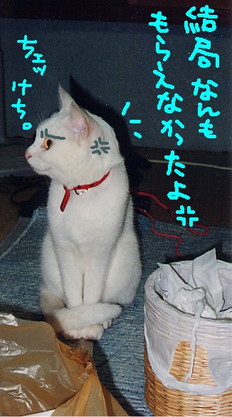 ͤ