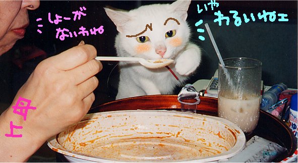 ͤ