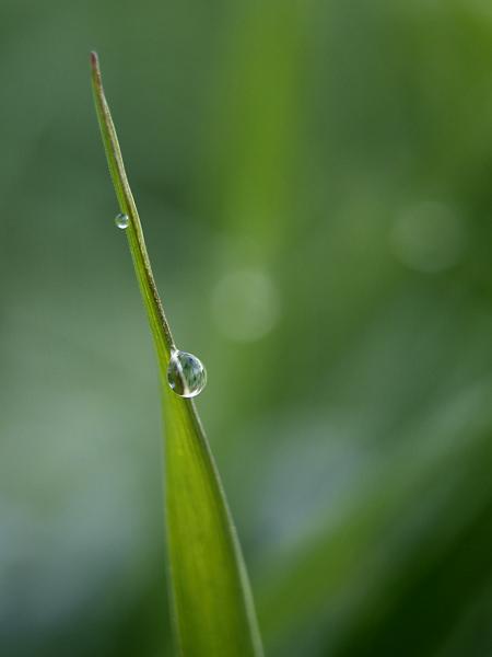 h230102118a.jpg