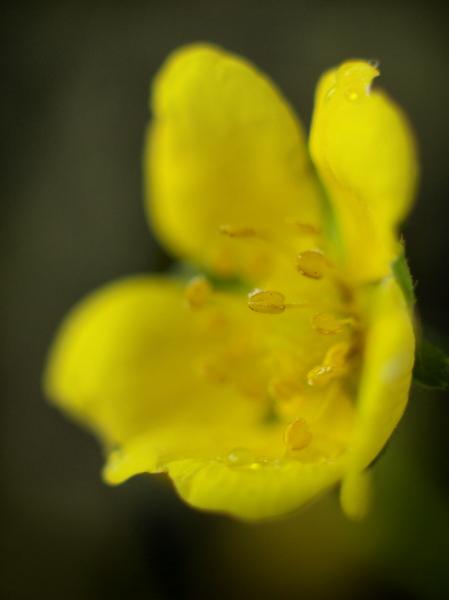 h230602029a.jpg
