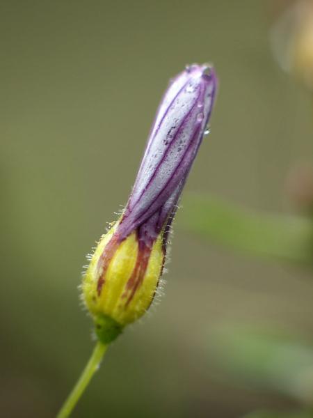 h230602038a.jpg