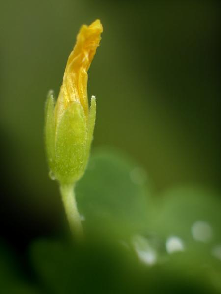 h230602062a.jpg