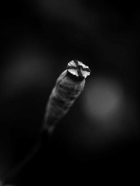 h230603232a.jpg