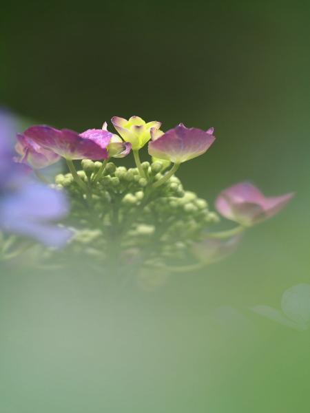 h230621044a.jpg