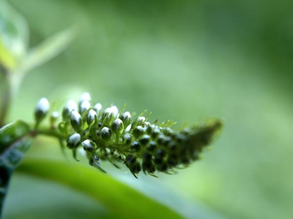 h230625082a.jpg