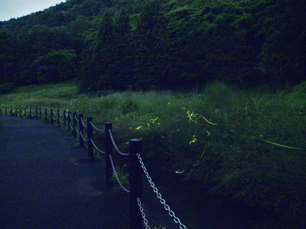 h230625142a.jpg