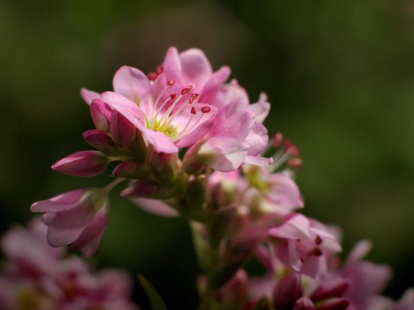 h230923113a.jpg
