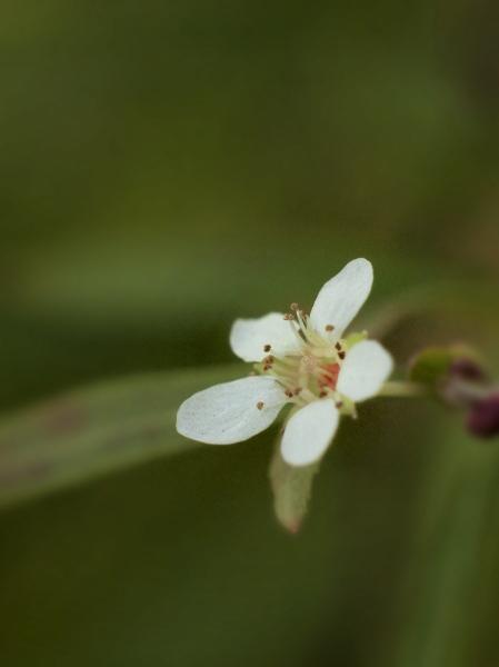 h231215220a.jpg