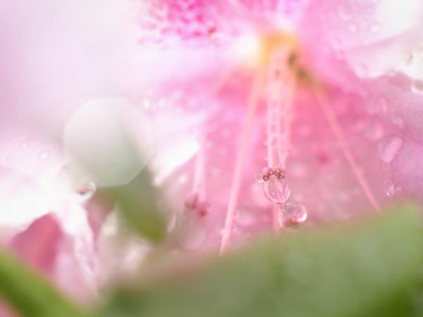 h240503209a.jpg
