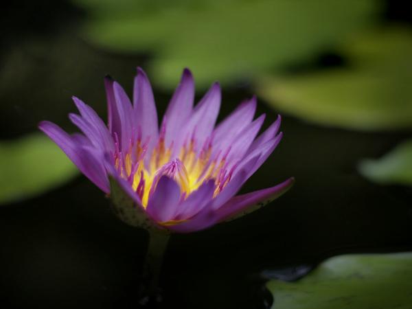 h240511190a.jpg