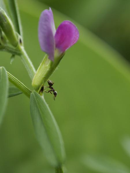 h240625031.jpg