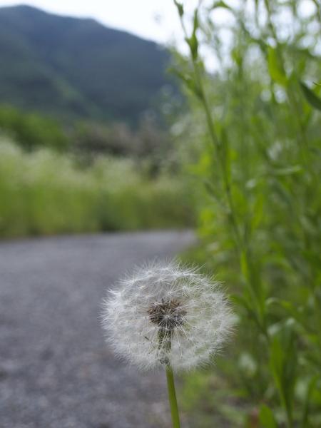 h240625072.jpg