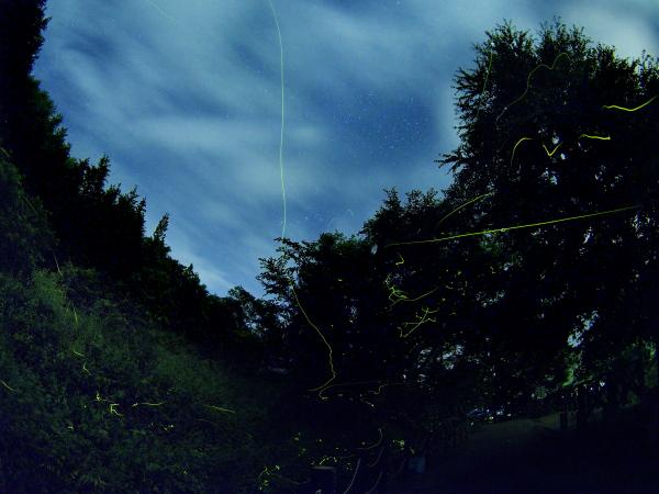 h240626017x.jpg