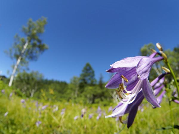 h240801165a.jpg