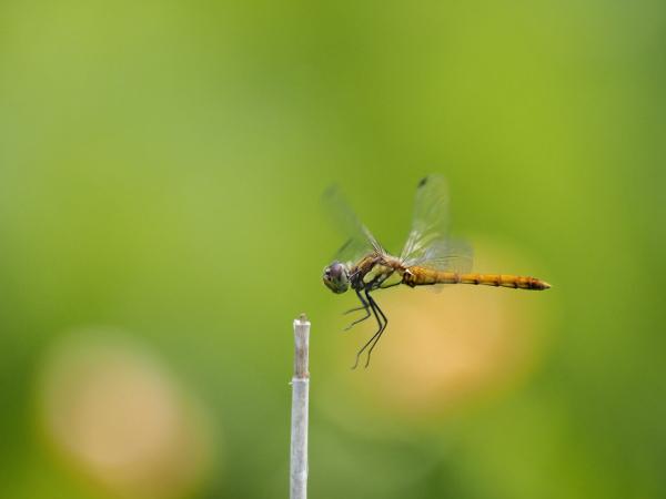 h240801310a.jpg