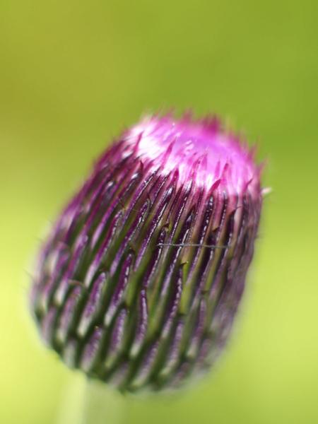 h240801450a.jpg