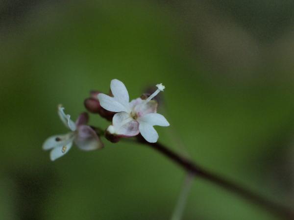 h240801476.jpg