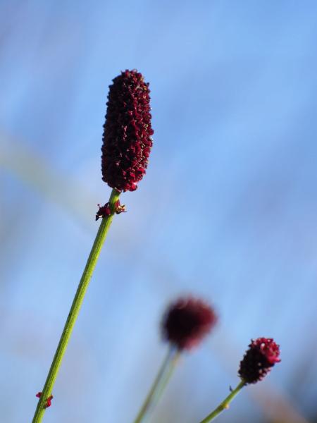 h240916120.jpg