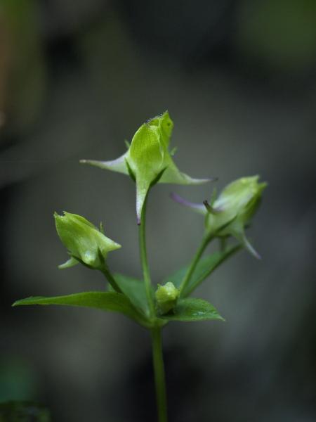 h240916174a.jpg