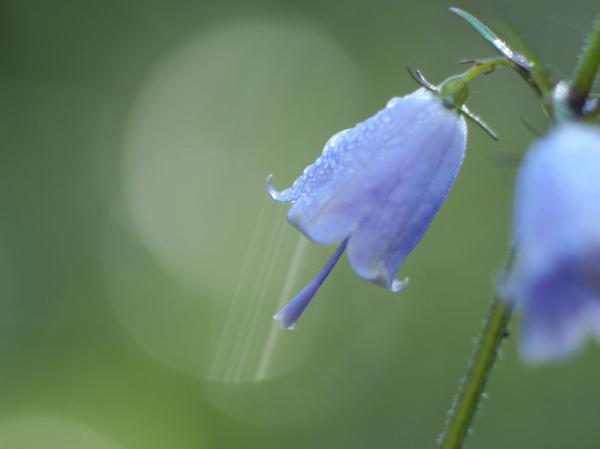h240916203.jpg