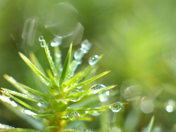 h240916225a.jpg