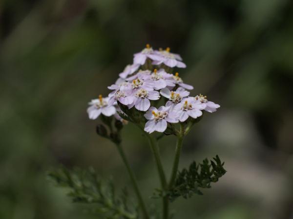 h240916326.jpg