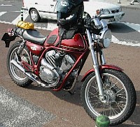 Hama's SRV250