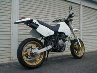 dr250