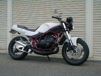 rz250r