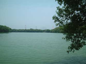 �R�c�r����