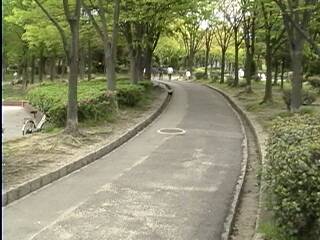 �O�����H