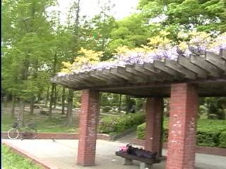 ���t������