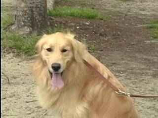 ���������̎ʐ^