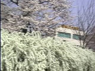 ���̖���