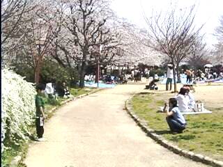 �q������