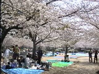 �o�[�x�L���[