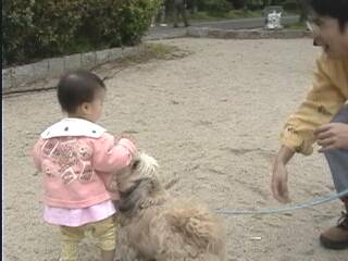 ������h��