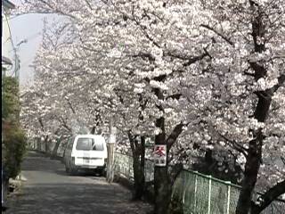 �����̍�����