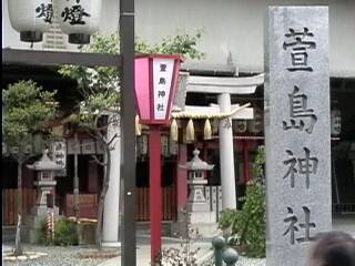 �����_��