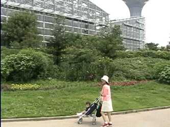 �ߌ��Βn����