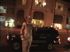 �V���o�[�}��