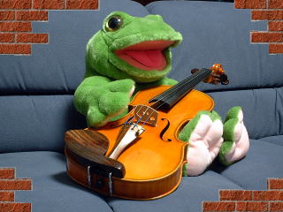 top_frog