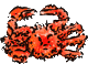 PPR҂Ă邩lI