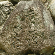 gcA