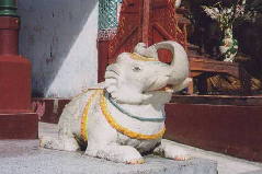 ۂ̑