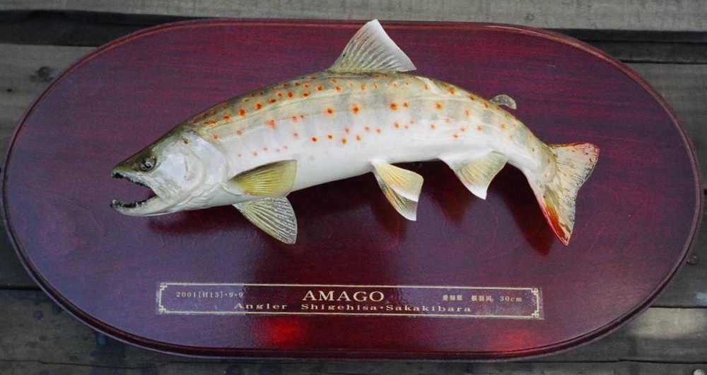 AMAGO