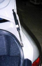 TRUNK2